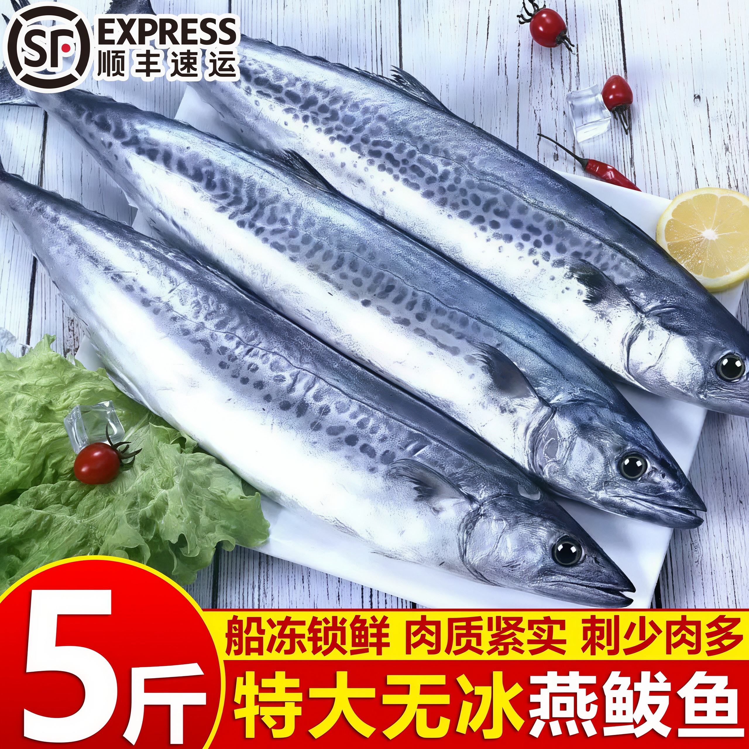 大连新鲜冷冻鲐鲅马鲛鱼
