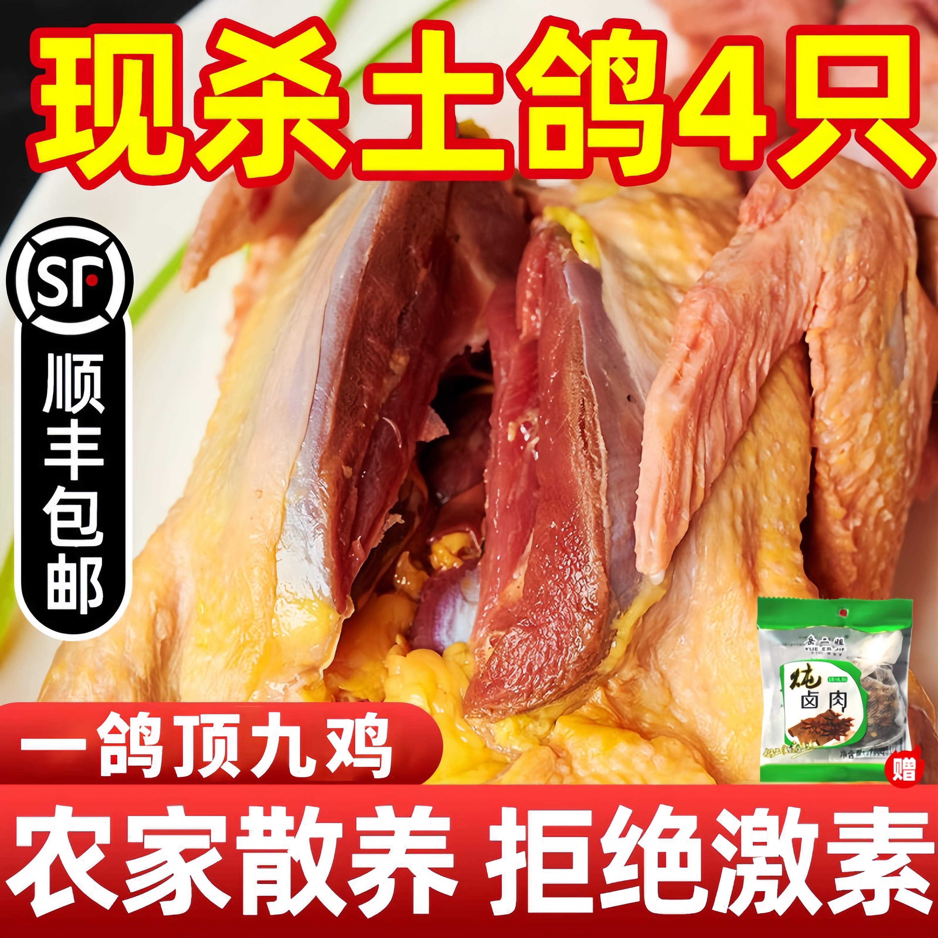 鸽子新鲜现杀活体土鸽子老鸽子乳鸽鲜农家散养煲炖汤生鲜鸽子肉