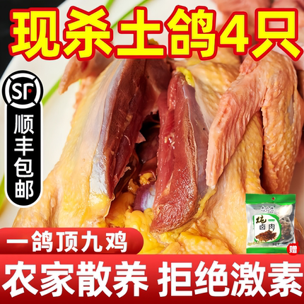 鸽子新鲜现杀活体土鸽子老鸽子乳鸽鲜农家散养煲炖汤生鲜鸽子肉