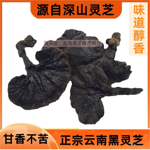 黑灵芝深山生长甘香云南野外紫灵芝正宗灵芝片泡酒煲汤料干货500g