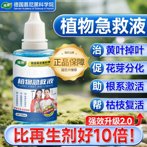【枯树一滴复活】植物速