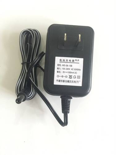 汪氏WS-06-10B儿童四轮遥控电动车充电器6v1000mA小孩童车玩具