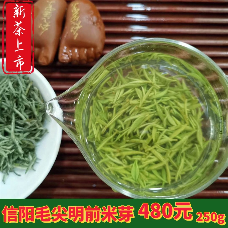 绿茶叶信阳毛尖2024年新茶明前特级250g茶叶散装手工自产自销 茶 信阳毛尖 原图主图