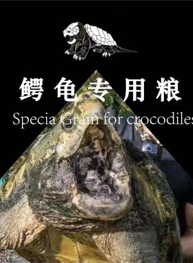 小花龟阁大鳄龟龟粮专用龟粮质感