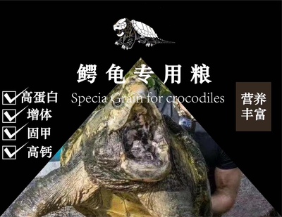 小花龟阁大鳄龟龟粮专用龟粮质感
