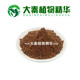 蜜香提取物 天然提取物 浓缩水溶性粉末 木香提取物
