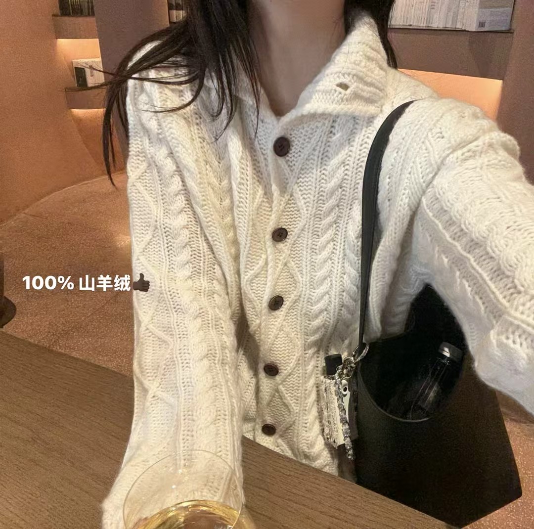 韩国东大门正品立领宽松纯色高品质麻花百分百山羊绒氛围感针织衫