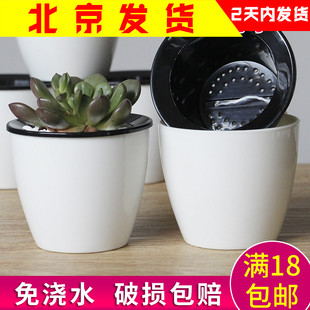 自动吸水懒人花盆家用绿萝懒人盆树脂多肉免浇水塑料养花小号花盆