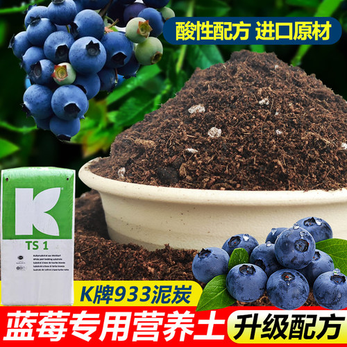 蓝莓专用酸性营养土进口泥炭