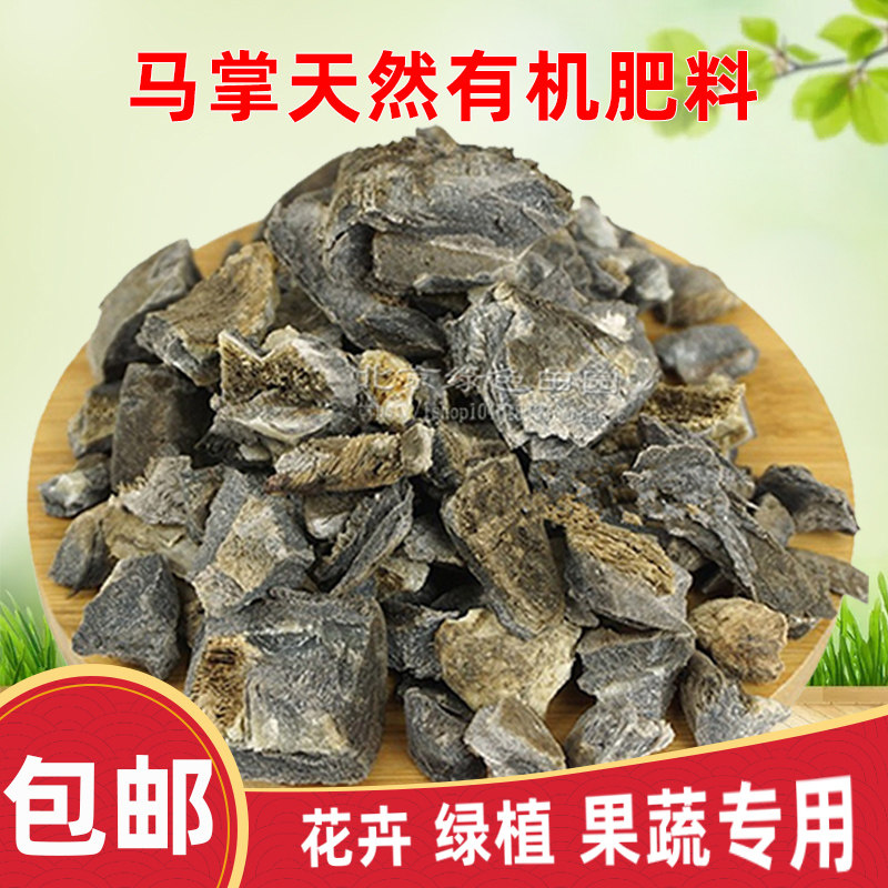 马掌马蹄片花盆底介质蛋白质缓释有机肥花卉植物通用肥料养花底肥