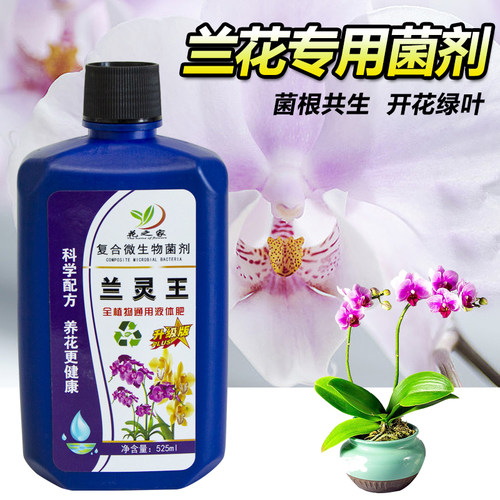 花之家兰花植物专用微生物菌剂