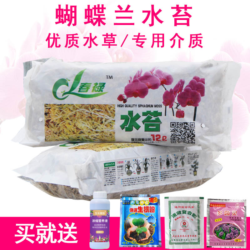 土苔藓价格 土苔藓图片 星期三 土苔藓价格 土苔藓图片 星期三
