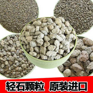 进口轻石颗粒土浮石钵底石兰花石多肉植物盆栽土铺面石水陆缸造景