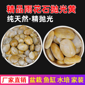 天然精品雨花石鹅卵石抛光黄鱼缸造景家装 铺路原石小石子园艺石头