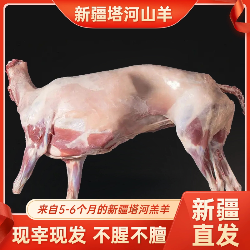 新疆新鲜羊肉塔河山羊