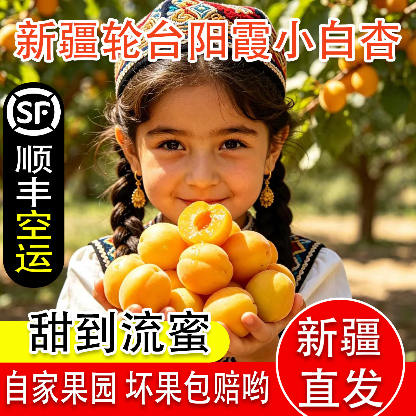 新疆轮台阳霞小白杏当季新鲜水果现摘现发顺丰空运甜杏子整箱包邮