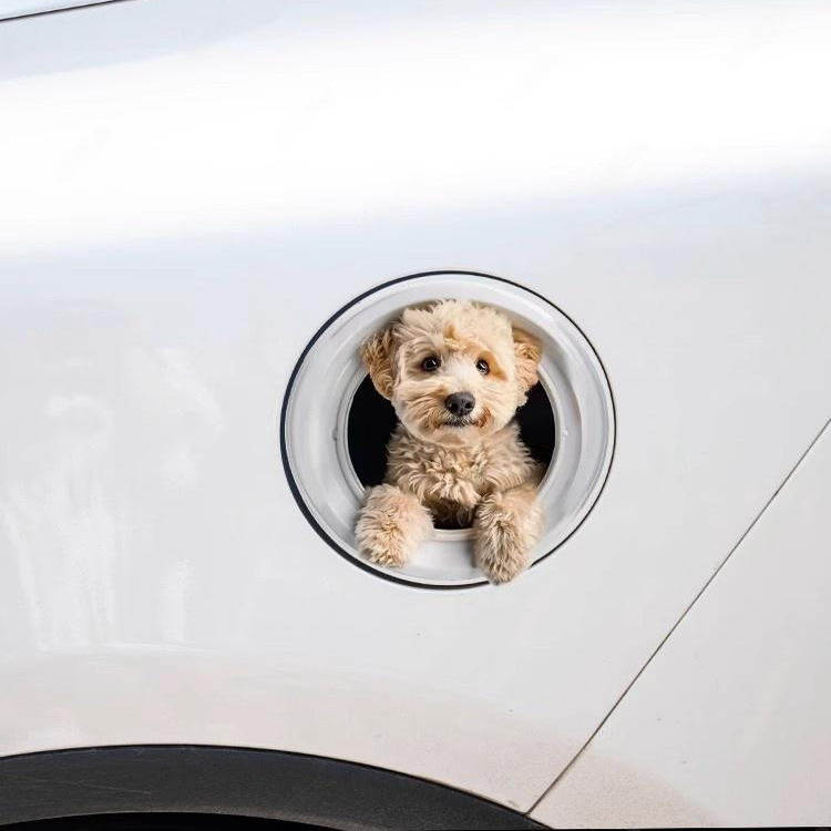 3D立体可爱动物汽车贴纸划痕遮挡侧电动摩托车身后窗玻璃装饰贴