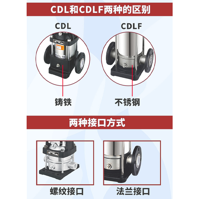 新款32CDL/F4不锈钢立式