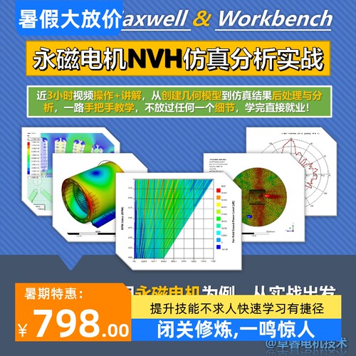 ANSYS Maxwell Workbench 新能源永磁电机NVH振动噪声有限元彷真