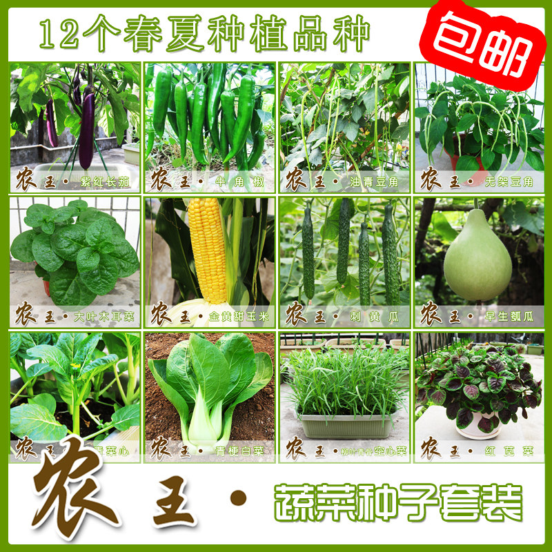 蔬菜种子大全阳台盆栽香菜韭菜芹菜香葱茴香特价满5 20包邮 四海农王 淘优券
