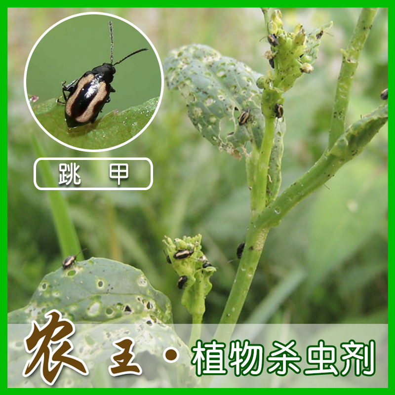 园艺药剂  蔬菜花卉 植物杀虫剂 跳甲狗虱仔(妙甲 )包邮