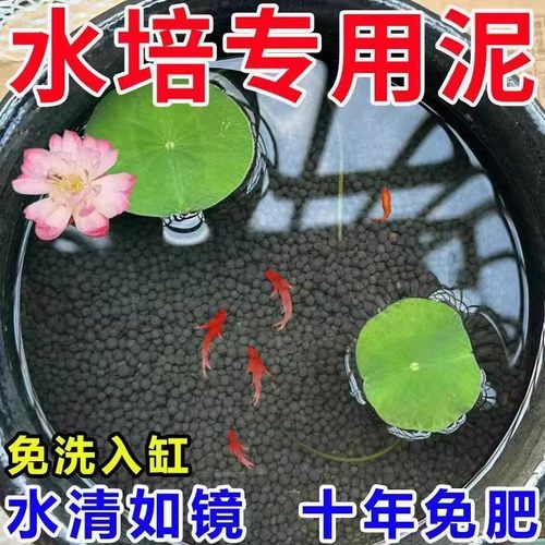 碗莲专用泥高肥力不臭水
