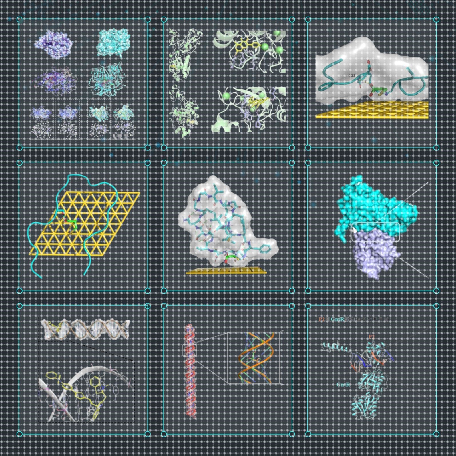 分子动力学模拟 Gromacs lammps MD模拟 分子对接 分子动力学