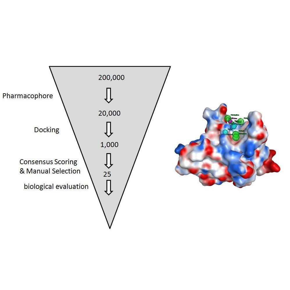 专业分子对接代做 相互作用模式分析 结合自由能计算虚拟筛选