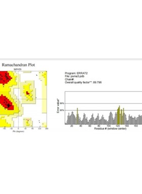 modeller 同源建模 aphafold 蛋白结构预测