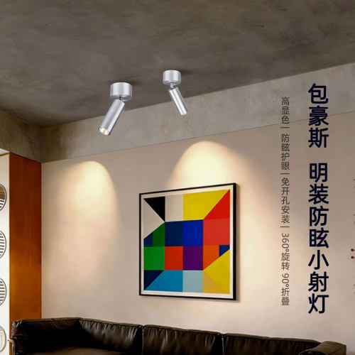包豪斯明装万向可调展柜射灯3W5W
