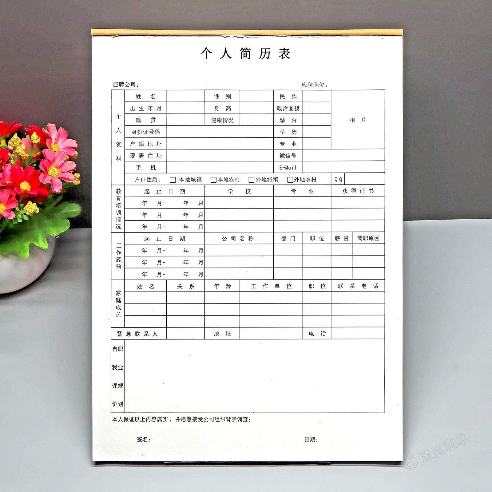 个人简历表定制单联简历本表格通用员工大学生求职入职应聘申请表