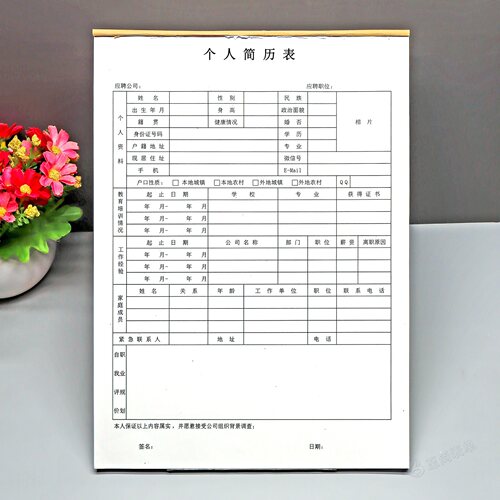 求职个人简历表定制应聘面试表格
