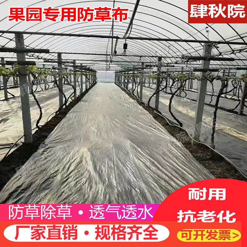 防草布除草布PE抗老化农用园艺地布防草地膜果树打孔遮草膜盖草布