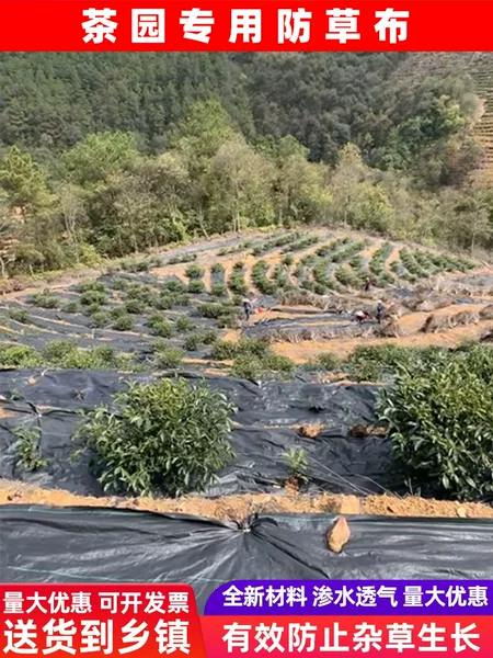 Товары от 肆秋院旗舰店