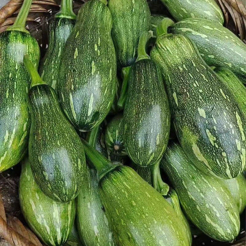 广西蜜本长南瓜绿皮南瓜青南瓜当季新鲜蔬菜