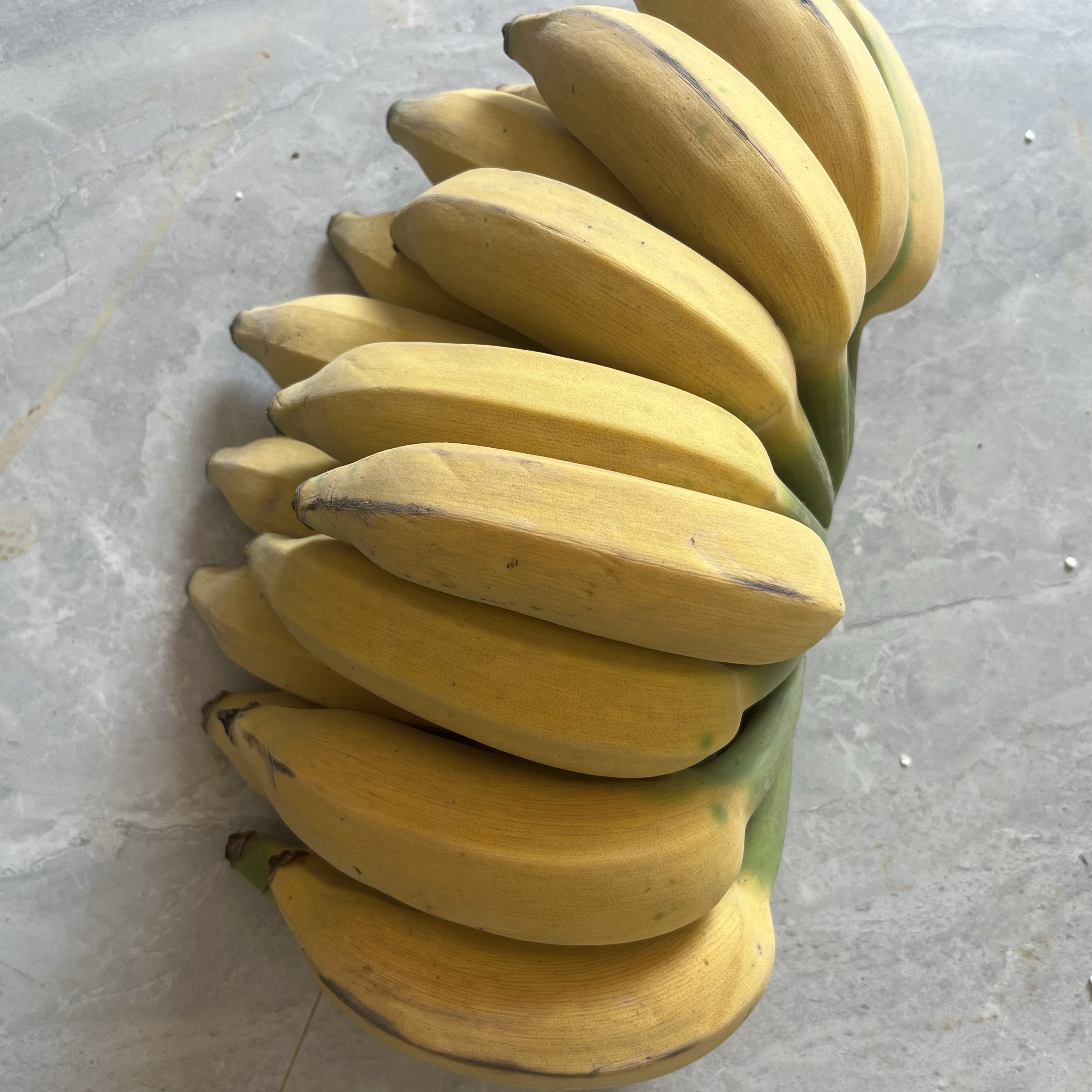 广西西贡蕉新鲜水果当季孕妇现摘香蕉