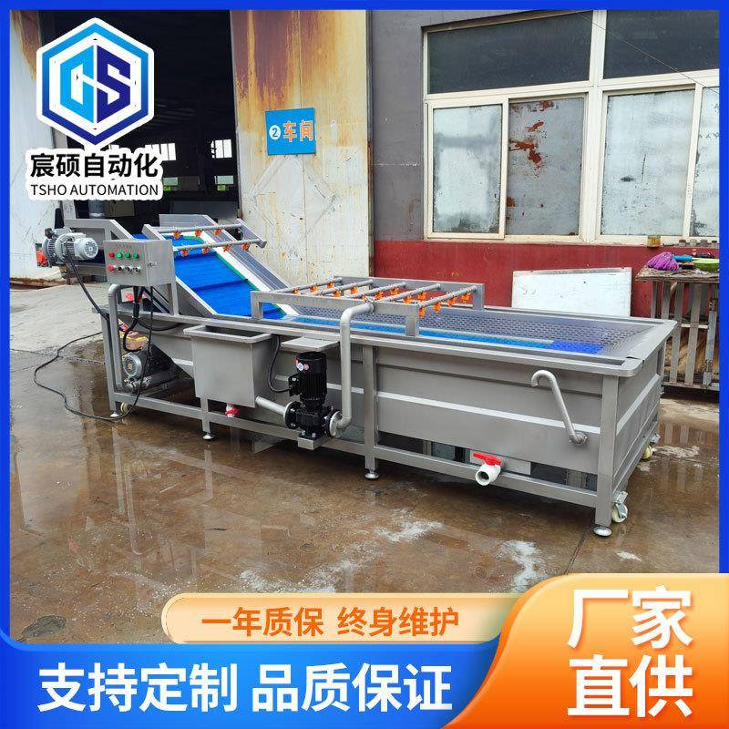 中药材果蔬清洗机红枣花茶气泡清洗设备商用胡萝卜上海青洗菜机