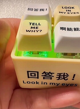 tell me why回答我发音发光钥匙扣解压按键玩具趣味小众送朋友