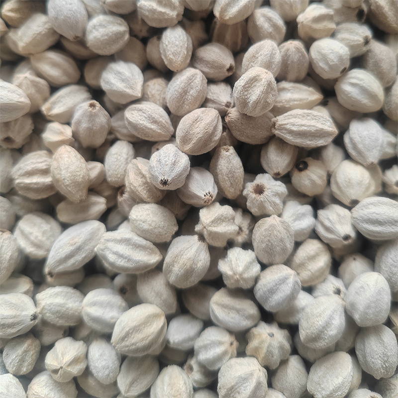 苦楝子核 苦楝树果核 苦心子苦楝子菩提手串未去毛原籽