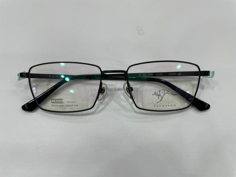 袋鼠眼镜架 近视偏光太阳镜夜视镜3D夹片多功能眼镜框 KP319-3039