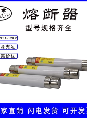 高压熔断器负荷开关保险管熔断管熔芯熔丝XRNT/SFLAJ-10/12KV50A