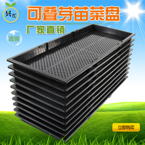 芽苗盘 芽苗菜育苗盘 小麦草种植双层芽菜盘 菜盘无土栽培盘