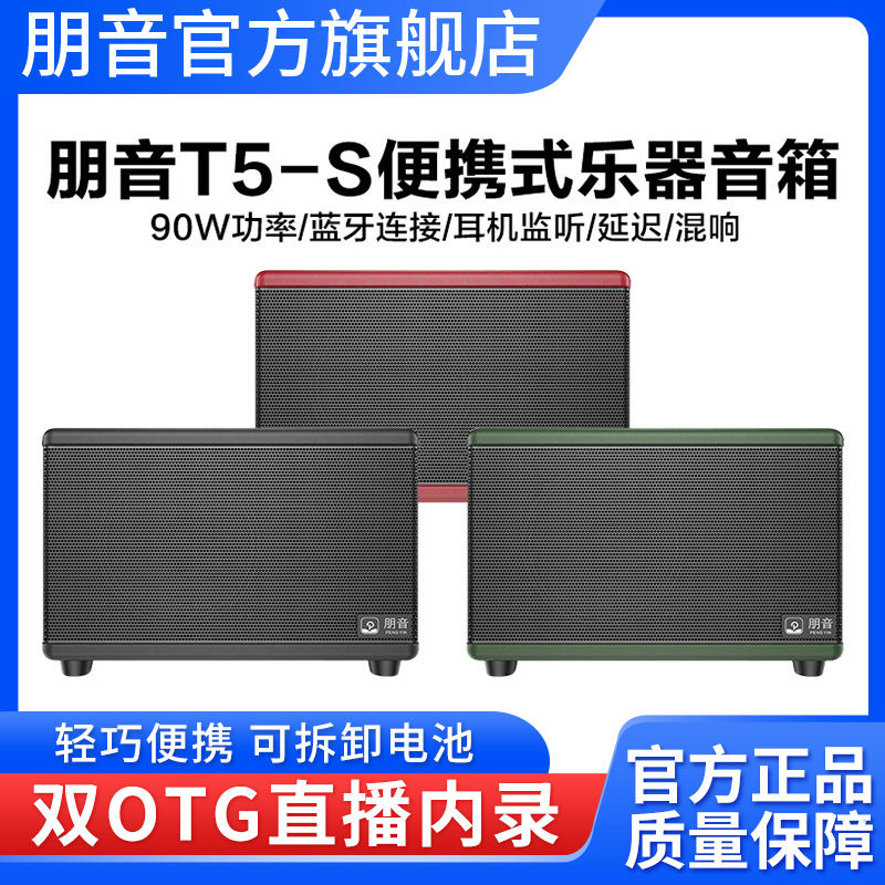 朋音T5-S音箱电吹管专用木吉他弹唱萨克斯音响乐器户外充电便携