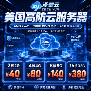 跨境电商服务器美国高防云服务器独立IP200G防护外贸独立站建站