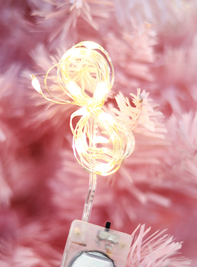 1米长LED灯电子灯串圣诞节透明苹果盒专用活动装饰灯10个幻彩丝