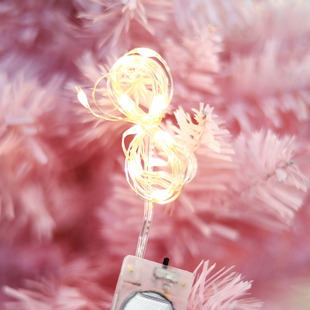 1米长LED灯电子灯串圣诞节透明苹果盒专用活动装饰灯10个幻彩丝