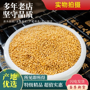 白芥子中药材500克/250g白介子炒白芥子粉另售莱菔山楂荷叶白芥子