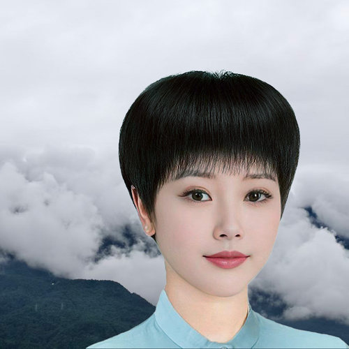 假发女中老年短发妈妈头套仿真人发丝女士假发自然全头套可水洗