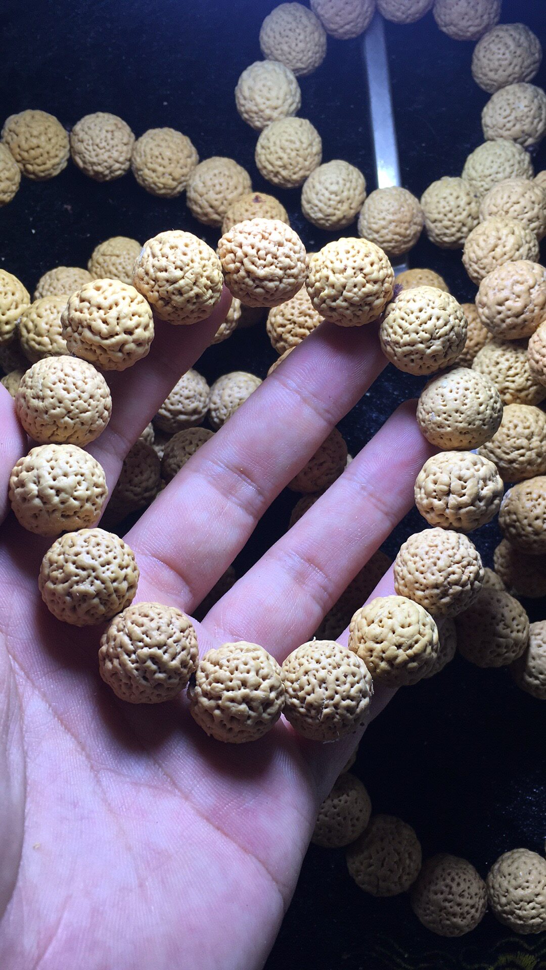 新店特价 精品佛螺菩提 手串佛珠满肉佛罗原籽超越大金刚星月凤眼