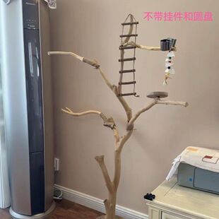 鸟站架树枝树杆鹦鹉站架树干原木站杆树杈秋千鸟笼实木灯架枯枝